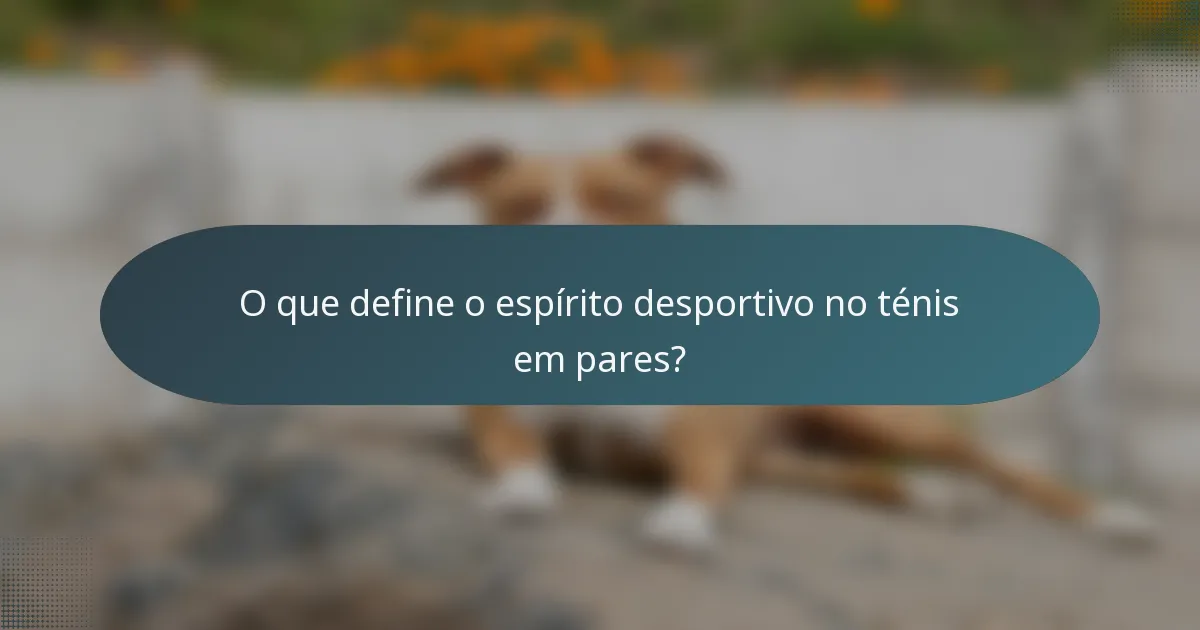 O que define o espírito desportivo no ténis em pares?